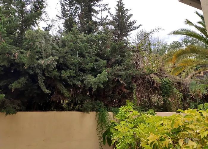 아파트 Dos & Prkn & Piscina Climatizada & Jardin - Casa Winslo *