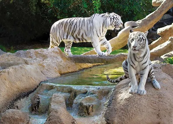 Dos & Prkn & Piscina Climatizada & Jardin - Casa Winslo 푸에르토 드 라 크루즈