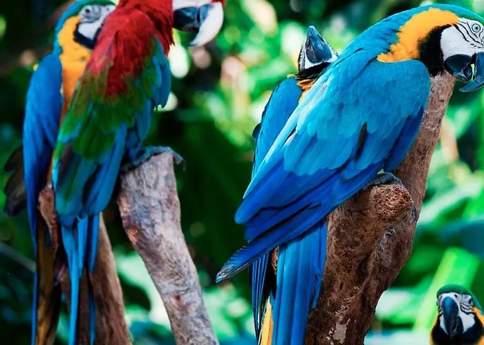 아파트 Dos & Prkn & Piscina Climatizada & Jardin - Casa Winslo 푸에르토 드 라 크루즈